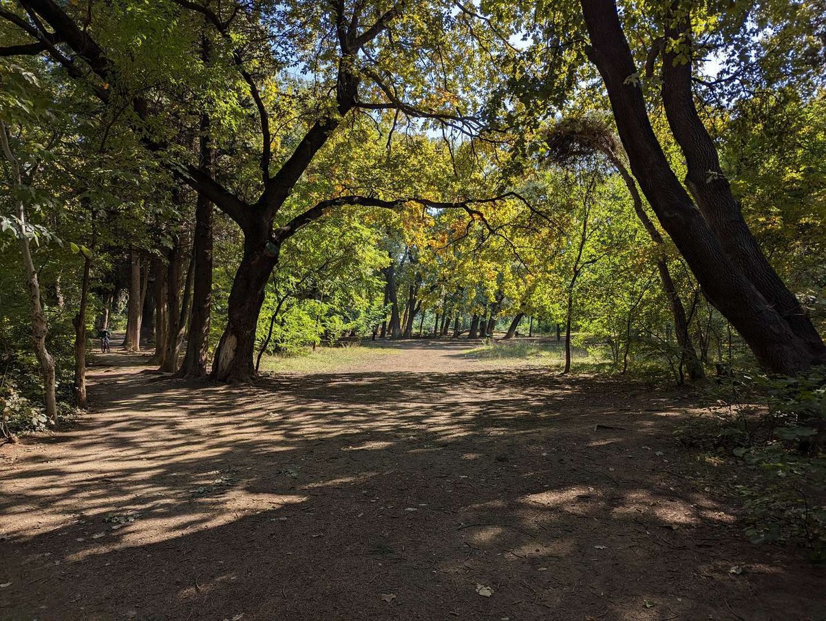 Dighomi Forest Park near Green Tower Hotel